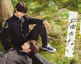 服装行业网站优化效果好